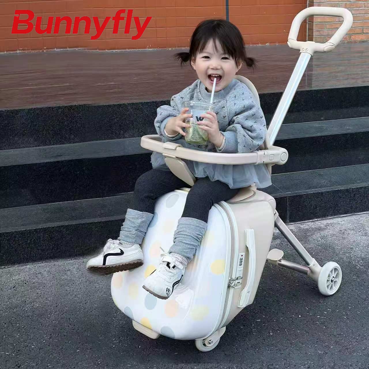 버니플라이 20인치 어린이용 캐리어(내장형 유모차 포함 - Baby Nursery Trolley 리뷰 및 가격